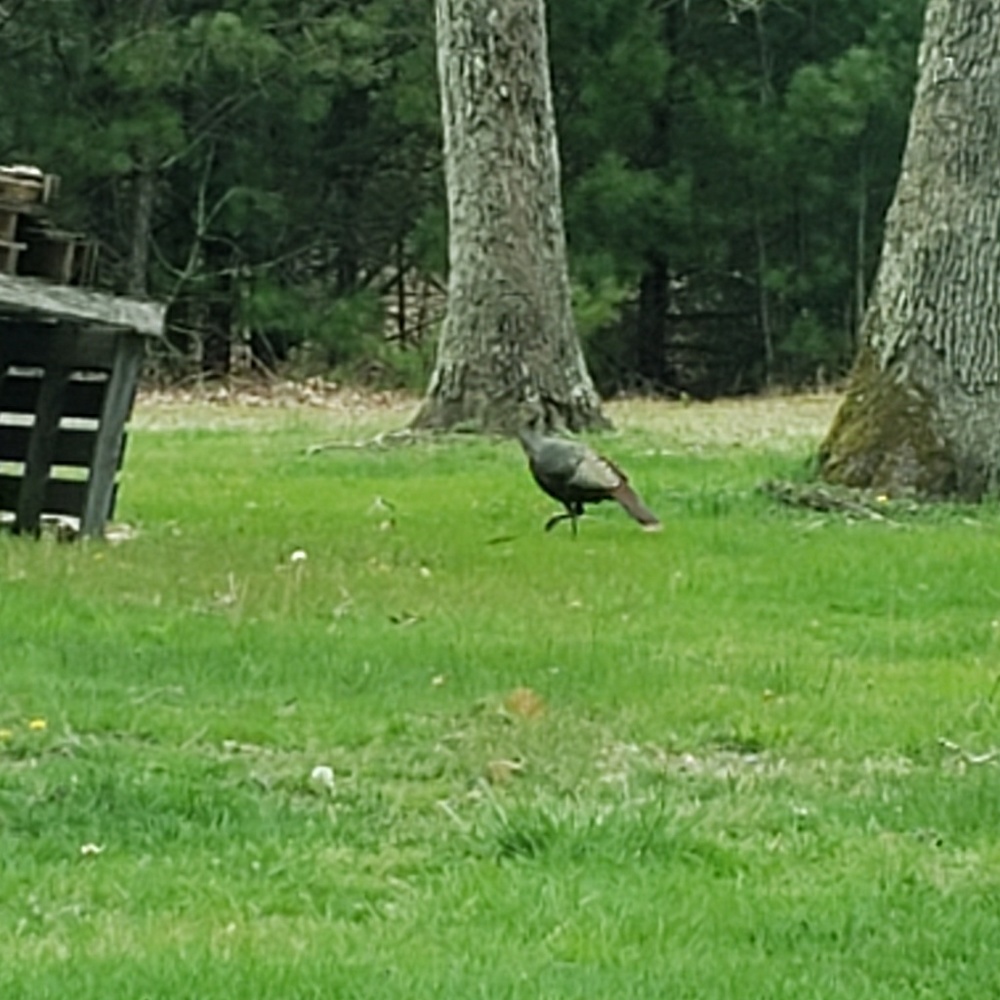 Meet your Posher, Louise